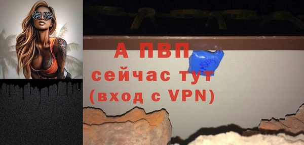 крисы Белокуриха