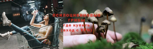 крисы Белокуриха