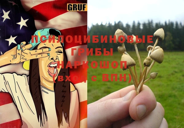 первитин Белоозёрский