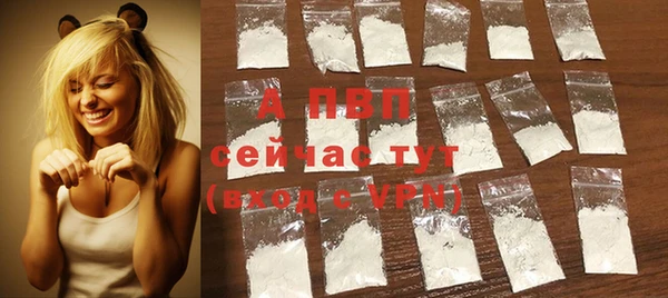 крисы Белокуриха