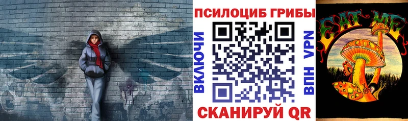 Галлюциногенные грибы мицелий  omg ТОР  Тула 